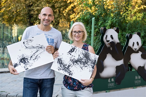 картина на пандата Янг Янг, зоологическа градина в Шьонбрун, Виена